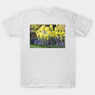 Yellow Spurge and Bluebells T-Shirt